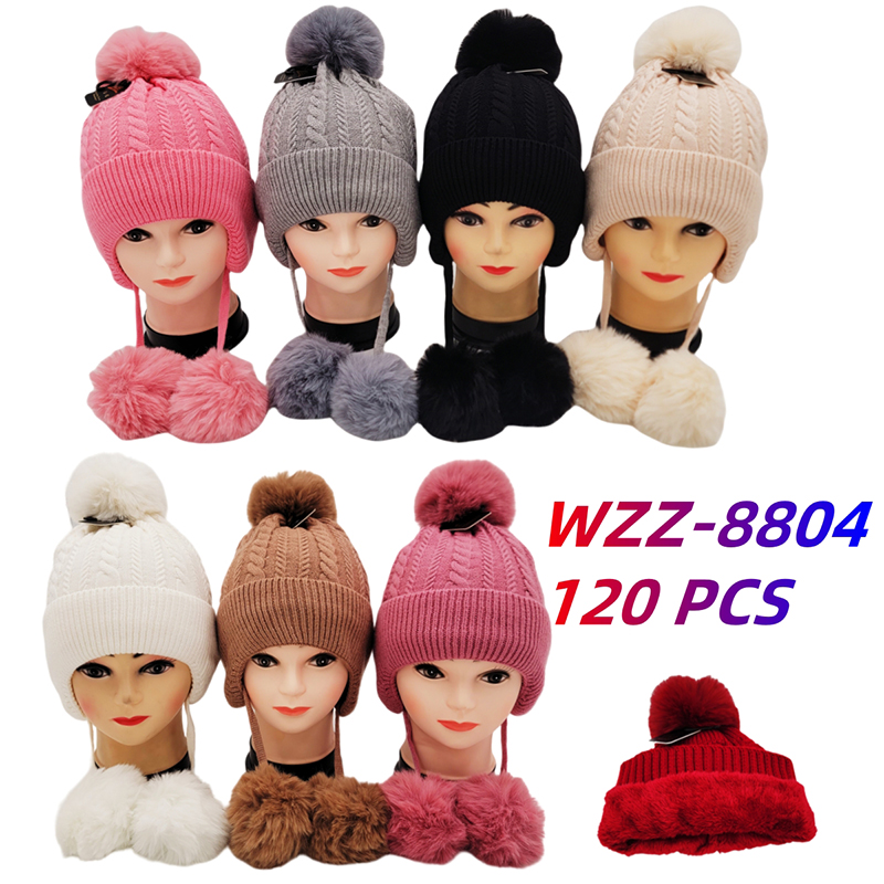 WZZ-8804 CS120